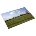 thumbnail image 3 of Print: Rural Alabama In The Spring, 2010, 3 of 4