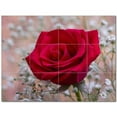 thumbnail image 1 of Flower Photo Ceramic Tile Mural Kitchen Backsplash Bathroom Shower 404914-L43, 1 of 9
