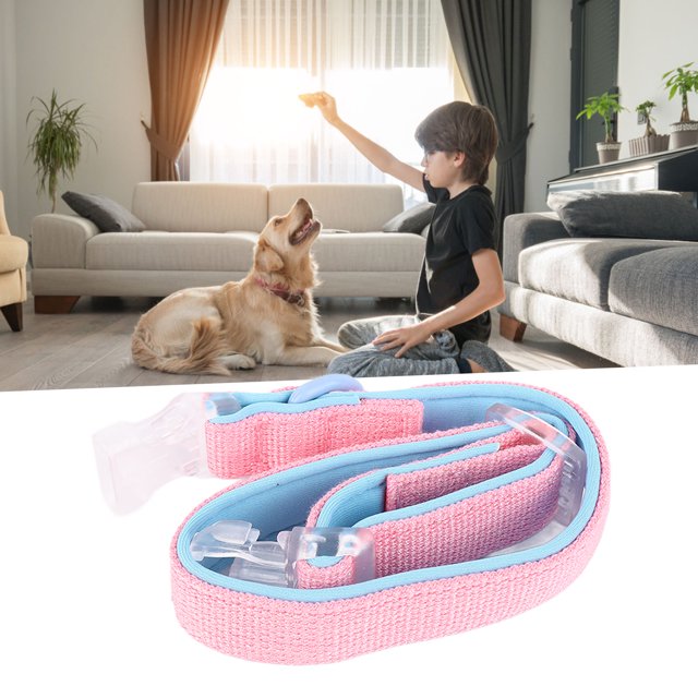 Durable Dog Collar, Easy To Wear Soft Dog Collar Polyester With Buckle For Outdoors For Camping Blue Match Color,Blue Match Color,Orange Match Color