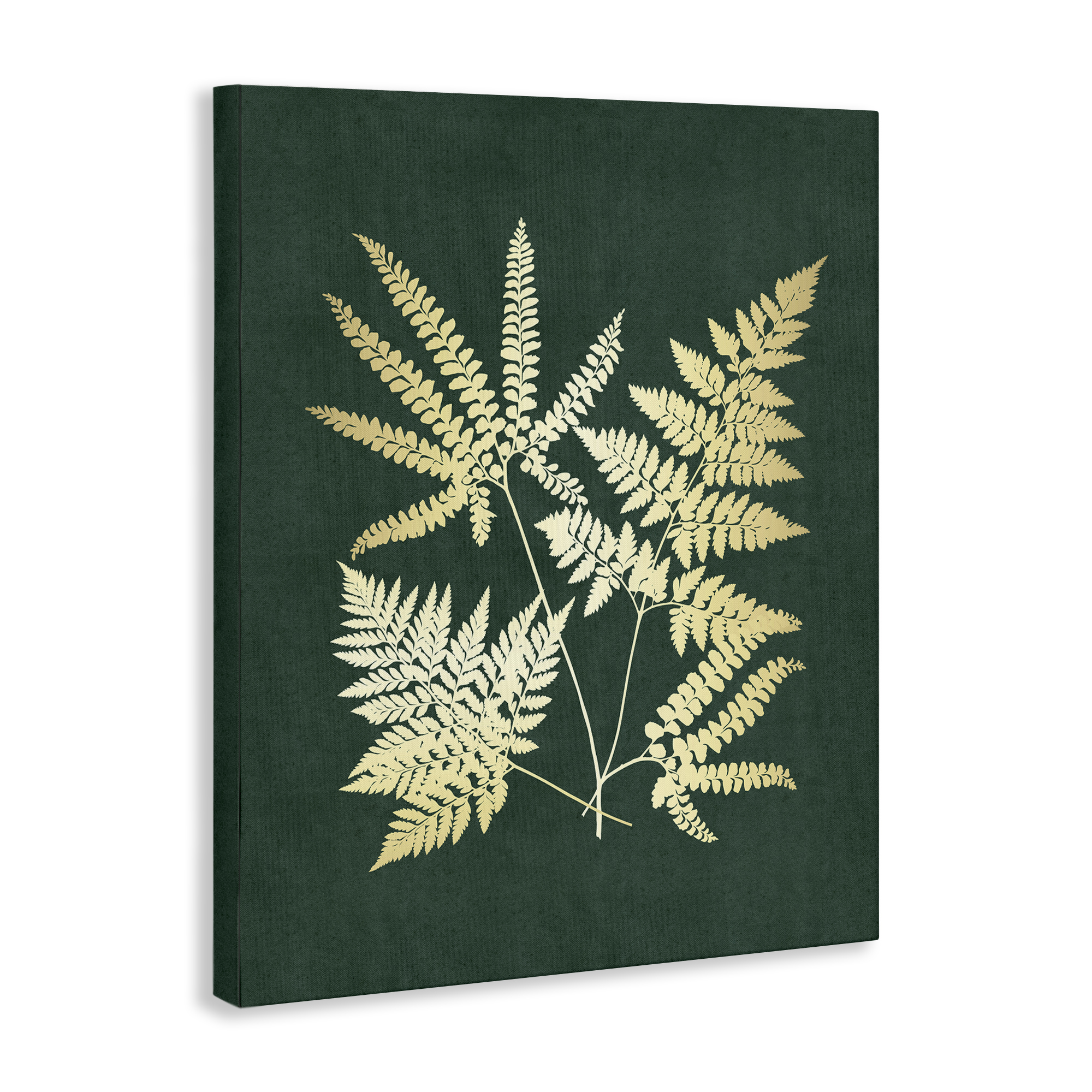 Stupell Industries Gilded Fern Leaves Plants & Flowers Painting Wrapped Canvas Art Print Wall Art, 24 x 30