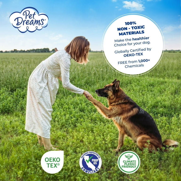 Boarding Kennel Field Of Dreams Dog Training Dream Opportunity In