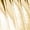 Gold, variant on Girls Shiny Metallic Fringe Tassel Crop Top Music Festival Rave Party Jazz Latin Dance Vest Red 6
