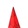 thumbnail image 5 of TFEOQRY Men's Wizard Hat Wide Brim Spider Web Decoration Witch Hat for Halloween Party Wear, 5 of 5