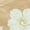 WHITE, variant on Jachs Girlfriend Ladies' Printed Chino Shorts (1751946)
