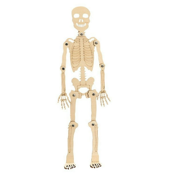 Juguete científico, modelo de esqueleto humano, juguete educativo, rompecabezas 3D, kits de paquetes de materiales hechos a mano para niños,