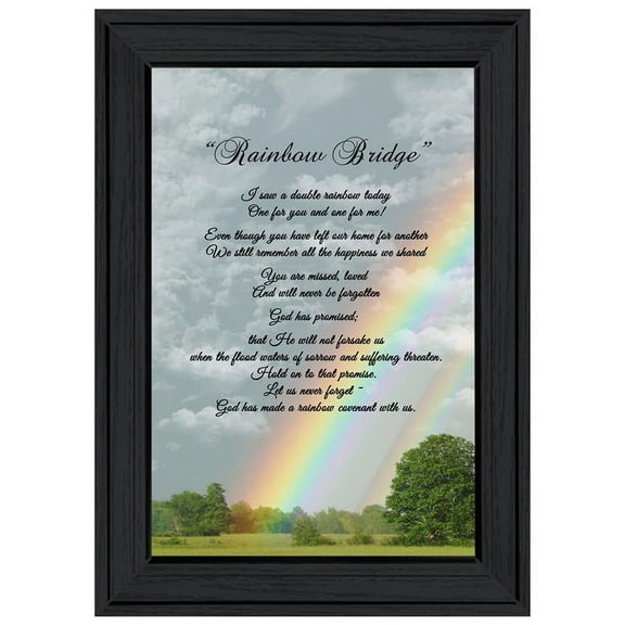 TrendyDecor4U Rainbow Bridge Ready To Hang Framed Print ME48A-405