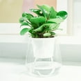 thumbnail image 4 of D-GROEE Self Watering Planter, Clear Plastic Automatic-Watering Planter Flower Pot Roud Plant Pot for All House Plants, Succulents, Herb, African Violets, 4 of 8