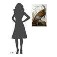 thumbnail image 4 of Global Gallery John James Audubon 'Wild Turkey, Male' Canvas Wall Art, 4 of 4