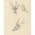 thumbnail image 2 of Robert Hills 12x14 Gold Ornate Wood Frame and Double Matted Museum Art Print Titled - A Stag's Head; Three Studies, 2 of 4