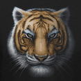 thumbnail image 2 of Teelocity Men's Tiger Head Black Relaxed Fit Short Sleeve Graphic T-Shirt, 2 of 3