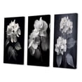 thumbnail image 3 of Designart "Monochrome Elegance in Blooming Hydrangeas III" Floral Wall Art Set Of 3 - Black Floral Gallery Set For Office Decor, 3 of 7
