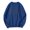 Blue_3, variant on Towmus Women's Cartoon Dinosaur Graphic Print Long Sleeve Round Neck Sweatshirt Casual Pullover 2025