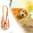 thumbnail image 3 of Sijiali Pet Leg Belt Adjustable Double Fixed Buckle Portable Pet Engineering Leg Harness for Dog, 3 of 9