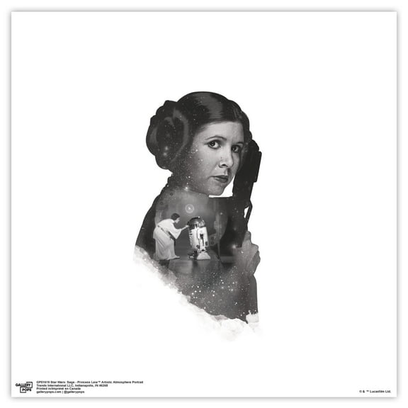 Gallery Pops Star Wars: Saga - Princess Leia Artistic Atmosphere Portrait Wall Art, Unframed Version, 12" x 12"