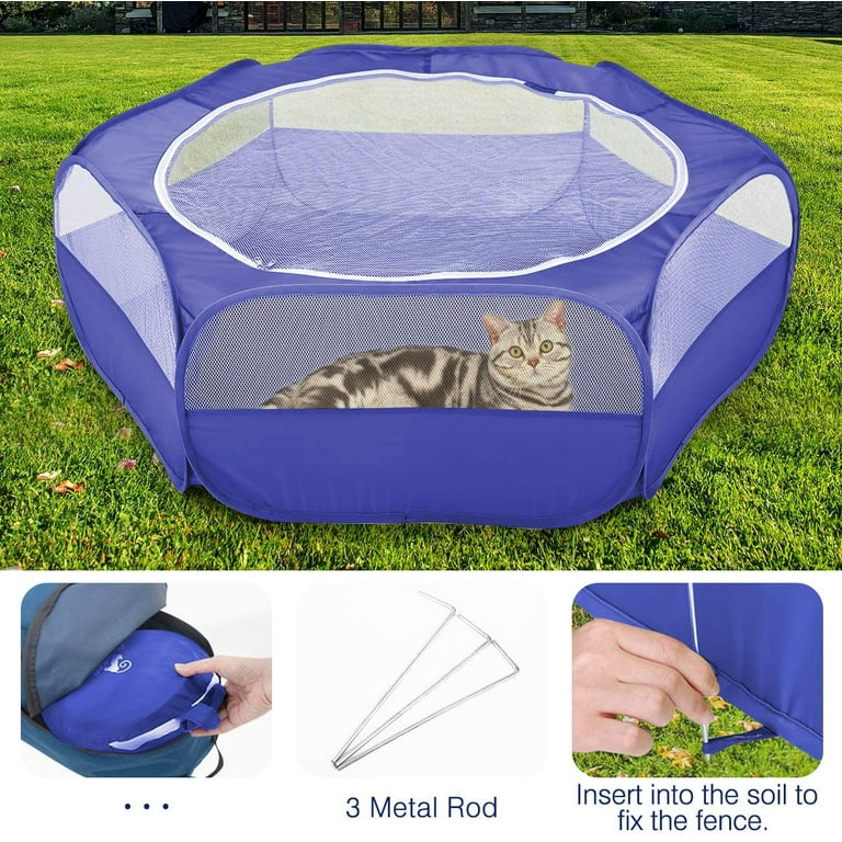 Kitten playpen best sale walmart