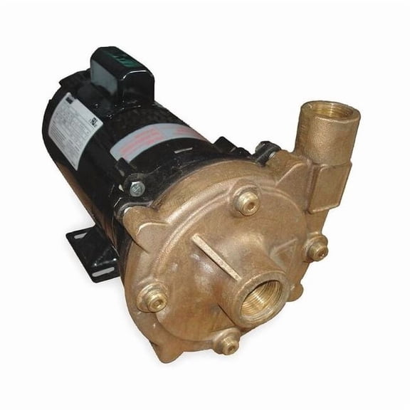Dayton Bronze 3/4 HP Centrifugal Pump 115/230V 2ZWZ8