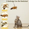 thumbnail image 4 of EVNELE Interactive Cat Toys Flapping Squirrel for Indoor Cats Rechargeable Cat Toy Vivid Chirping, Automatic Beating Wings Kitty Toys with Catnip for Kitten Exercise, Hanging Toys Self Play, 4 of 6