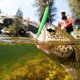 thumbnail image 4 of Cebos de pesca, 5 piezas, 18 cm/23,5 g de largo, señuelos de pesca artificiales, diseño fácil de usar, 4 of 14