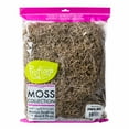 thumbnail image 2 of (2 pack) Proflora Preserved Green Spanish Moss, Natural 530 CU in - Floral Arranging Supplies, 2 of 8