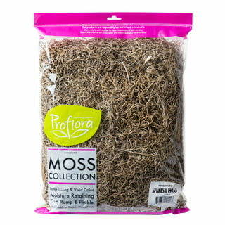Long Fibered Sphagnum Peat Moss (4 Quarts), All Natural Dried Moss for  Orchids, Carnivorous Plants, Decorating, Terrariums 