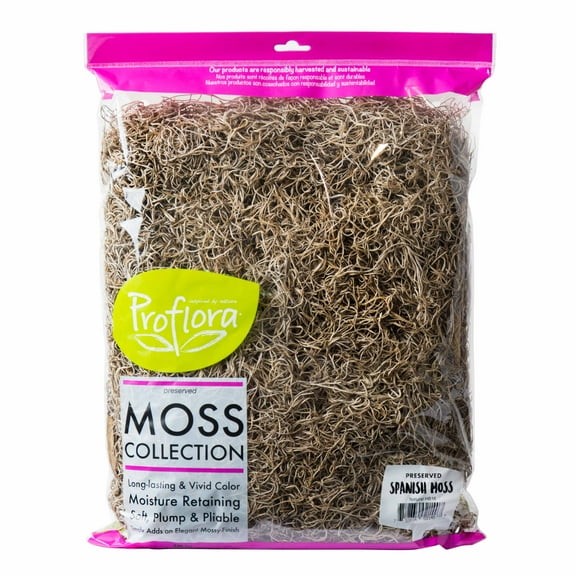 Proflora Preserved Green Spanish Moss, Natural 530 CU in - Floral Arranging Supplies