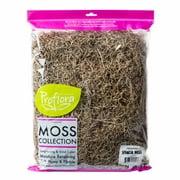 Proflora Preserved Green Spanish Moss, Natural 530 CU in - Floral Arranging Supplies