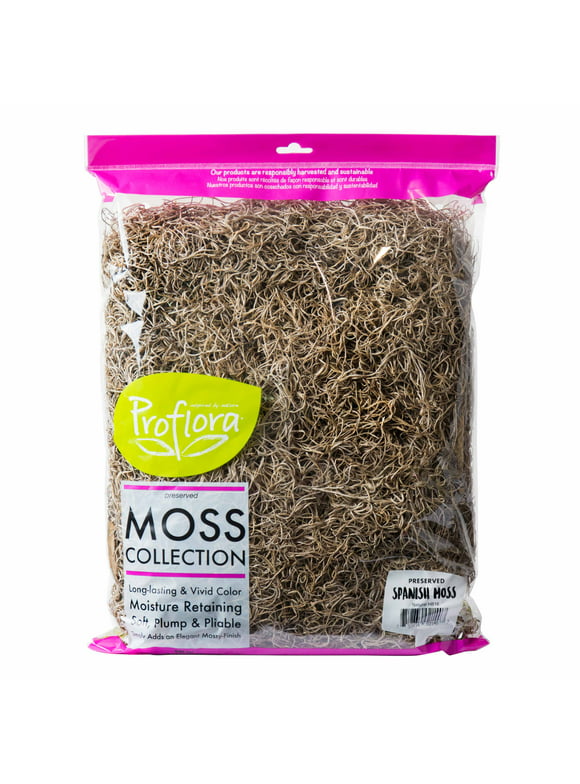 Proflora Preserved Green Spanish Moss, Natural 530 CU in - Floral Arranging Supplies