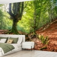 thumbnail image 2 of Peel and Stick Wallpaper beech forest Otzarreta Gorbea national park Spain Modern Art Wall Mural Decor Self Adhesive and Removable 69in x 98in, 2 of 8