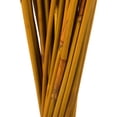 thumbnail image 4 of Vickerman 40" Aspen Gold Elephant Reed, 10 oz Bundle, Dried, 4 of 4