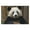 300, variant on Puzzles for Adults 500 Pieces - Adorable Giant Panda Puzzles for Family Games, Puzzle for Gifts, Funny Puzzle for Education