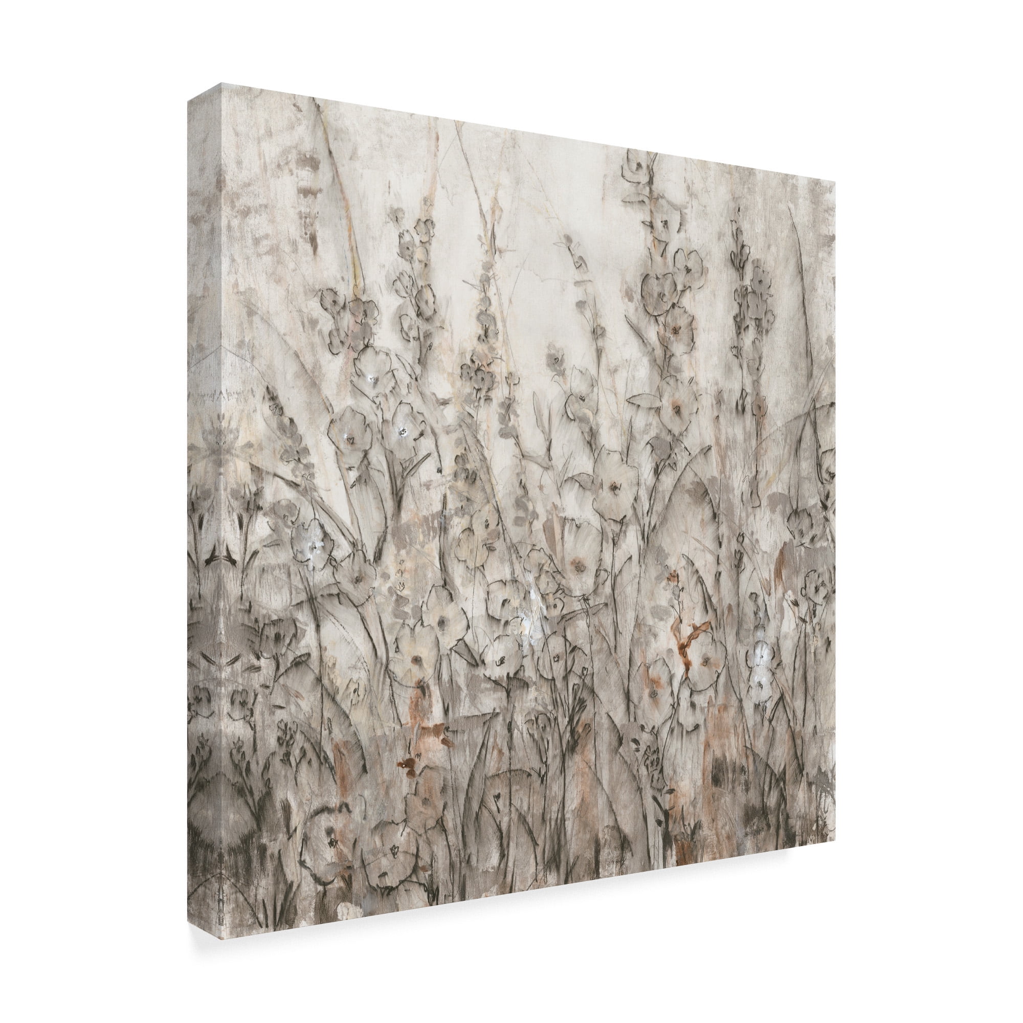 Trademark Fine Art 'Shadows I' Canvas Art by Tim OToole