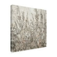 thumbnail image 2 of Trademark Fine Art 'Shadows I' Canvas Art by Tim OToole, 2 of 4