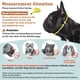 thumbnail image 2 of Bozal de Malla para Perros de Hocico Corto Mayerzon para Bulldog Francés, 2 of 7