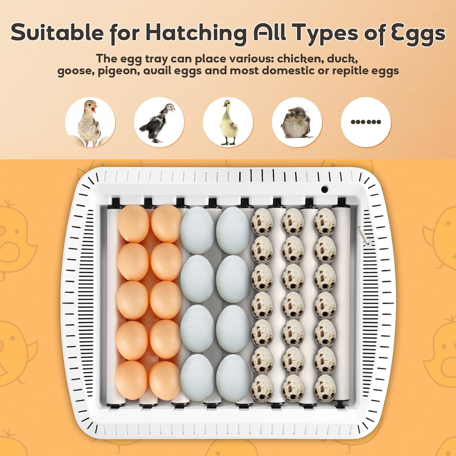 Adnoom Egg Incubator, 12 Eggs Incubator with Automatic Egg Turner and Temperature and Humidity Control,LED Display Egg Incubator for Hatching Chicken,Duck,and Goose Eggs with Kettle, Sprinkler