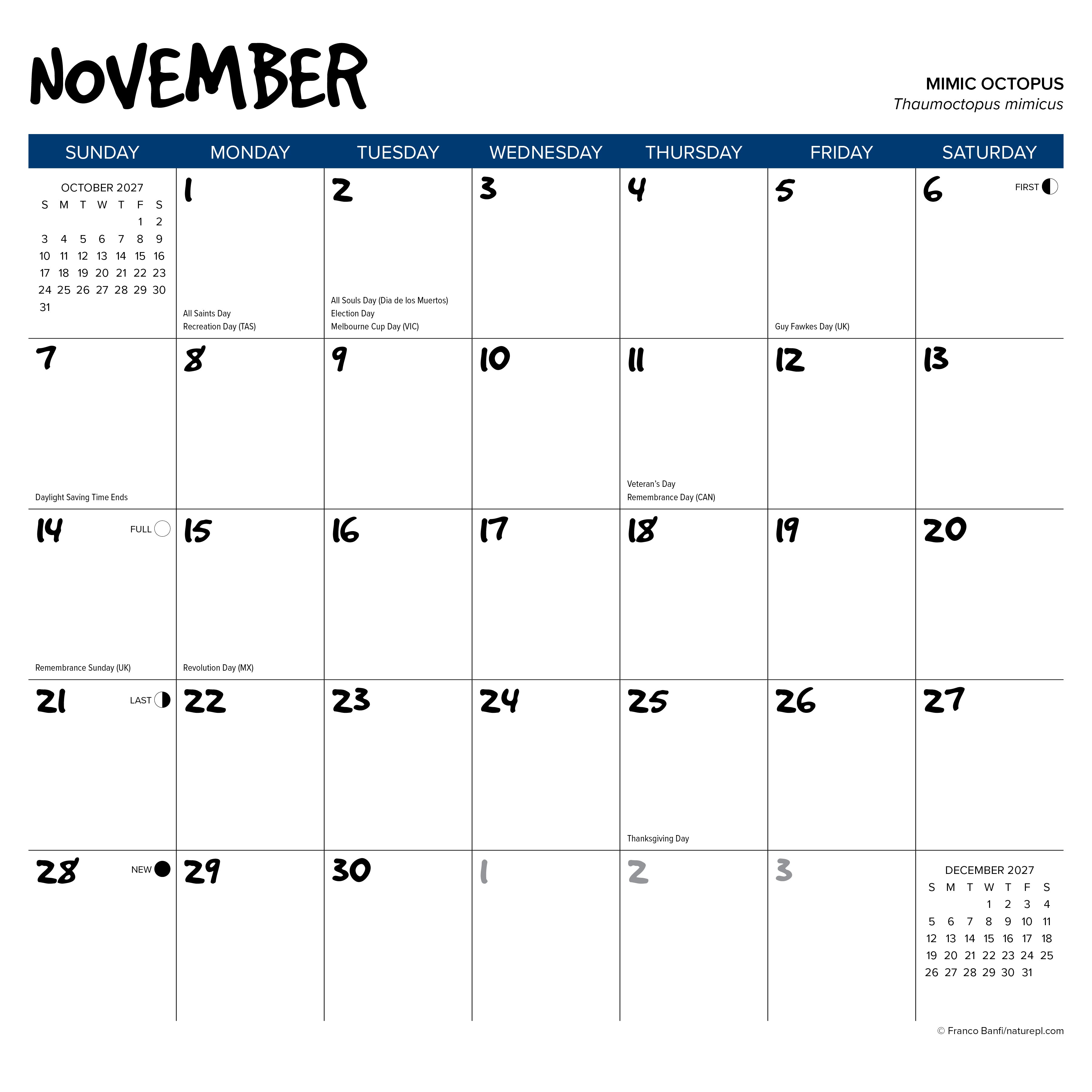 Willow Creek Press, Octopus 2027 Wall Calendar