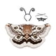 thumbnail image 1 of Disfraz de de polilla para Halloween, accesorios fotográficos para fiestas de disfraces, cumpleaños y festivales. Café, 1 of 8