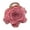Bean paste pink, variant on Delicate Camellia Patterned Hairpin Plastic Mesh Hair Clip For Styling