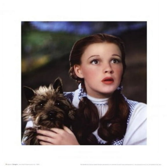 Wizard of Oz - Dorothy and Toto Poster (16 x 16)