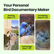 Netvue Birdfy® Bird House with Camera, 1080P Dual-Camera Lifetime AI Identify Bird Nesting and Hatching Feeding Behavior with Automatic Notification, Great Gift for Everyone