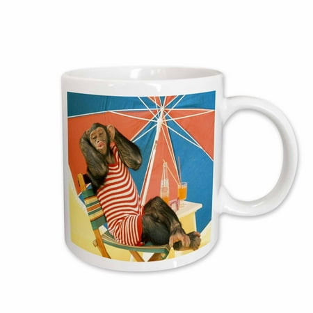 

3dRose Really Cute Photo We Can Monkey Around Come Summer Ceramic Mug 11-ounce