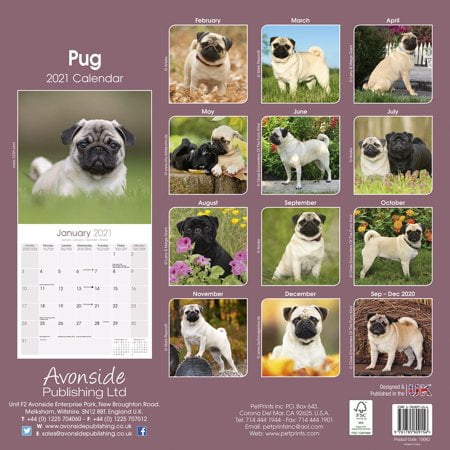 Pug Calendar - Dog Breed Calendars - 2019 - 2020 Wall Calendars - 16 Month by Avonside (Multilingual Edition)