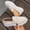 Beige, variant on Crunowin Women's Shallow Mouth Loafers, Spring Style Solid Color Shallow Mouth Outdoor All-Match Footwear Gray