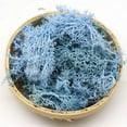 thumbnail image 2 of HCTSHG Fake Moss Preserved Reindeer Moss 10g for Potted Plants, Arts and Crafts, Terrariums, Wall Decor, Centerpieces, Fairy Gardens, Wedding, Floral Project, 2 of 6