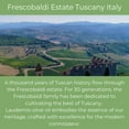 thumbnail image 3 of Frescobaldi Laudemio Olive Oil, 16.9 Fl Oz, 3 of 6