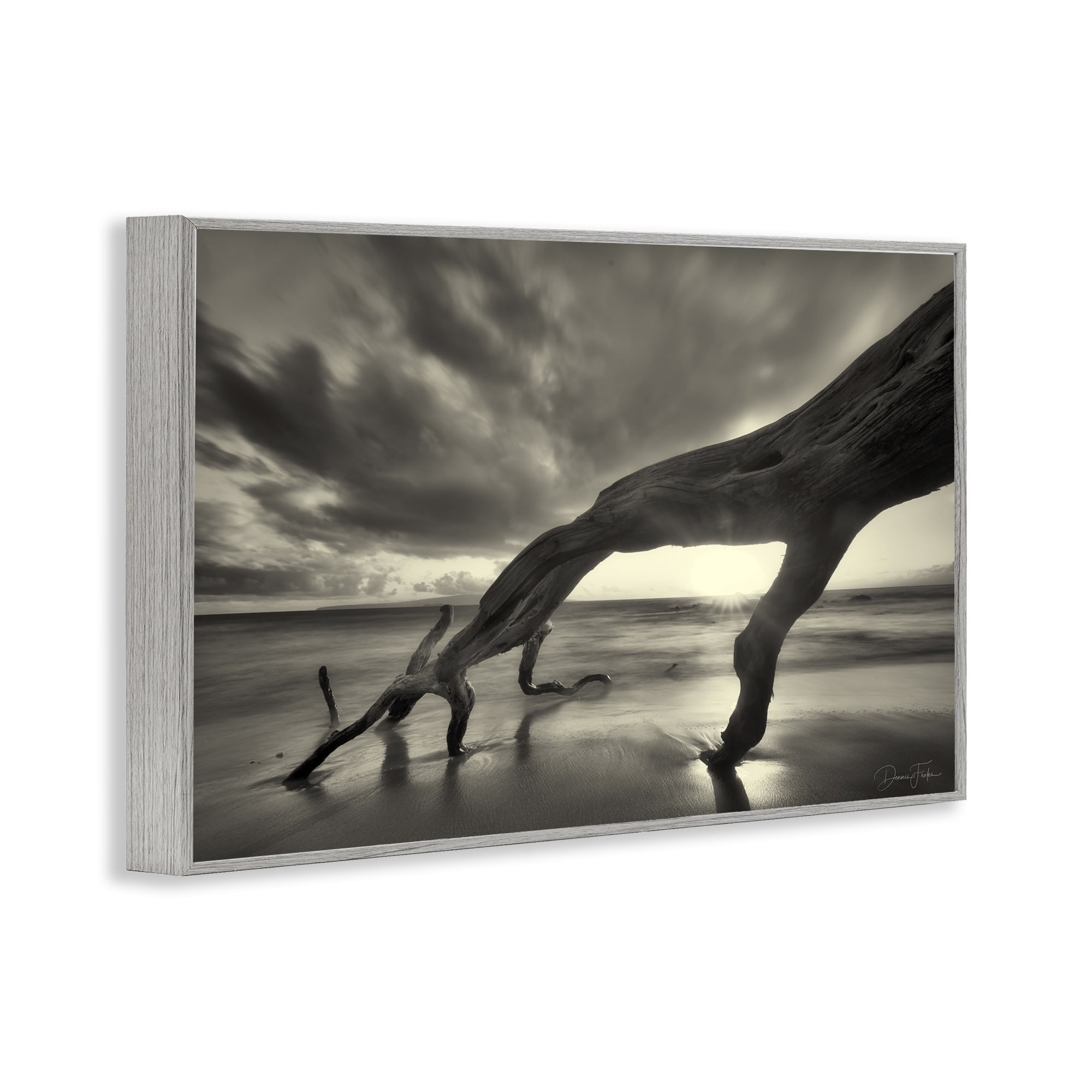 Stupell Industries Tree Trunk on Shore Landscape Photography Gray Framed Art Print Wall Art, 18 x 12