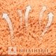 thumbnail image 4 of FENGGUIQU Cómoda Para Jaulas De Hámster Y Cobayas Con Tela Lavable Y Antibacterial, 4 of 6