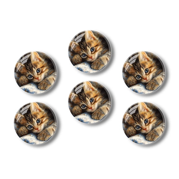 Glass Refrigerator Magnet 6Pcs Magnetic Fridge Sticker,Decor for Kitchen,Whiteboard,Cabinet,Adorable Kitten With Blue Eyes