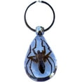 thumbnail image 4 of Trendy Zone 21 Keychain with Brown Spider Resin Key Ring| Key Chain Oval Shape Creative 2” Spider Keychain for Men & Women, Spider Keyring || 2” Pendant Height|Clear Background, 4 of 5