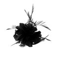thumbnail image 1 of TISHITA 1 Und Feather Clip Clips Hair Accessories For Women Decor Black,, 1 of 4