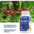 thumbnail image 7 of BioMatrix Pylori-x | Stomach and GI Support for H. Pylori Defense | Mastic Gum Berberine | Matula Tea Alternative (120 Caps), 7 of 7